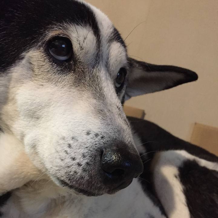 281781b6 5449 41d7 8a8d 09c6955c4476