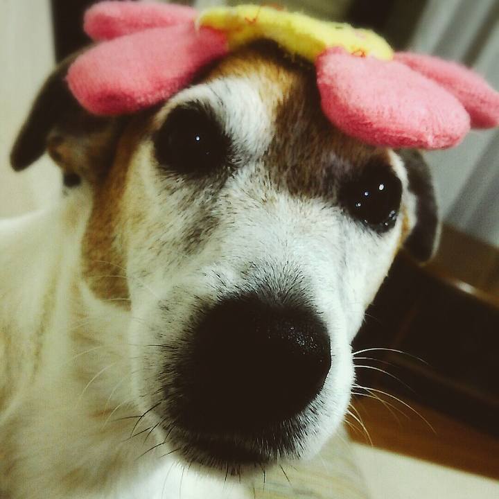 2817b15d 4300 4f7c b5bc 5b6932d53dcc