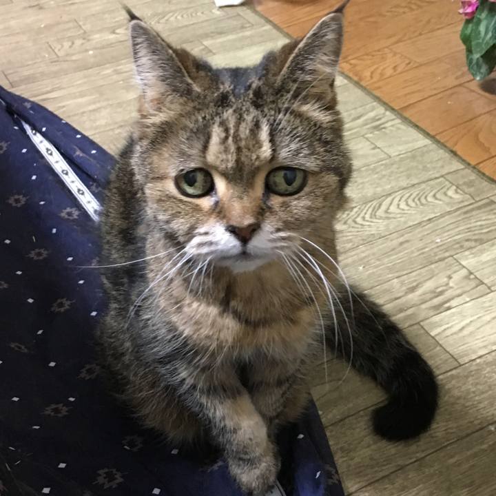 28181a58 5601 46ea 8415 1c2773e72d80