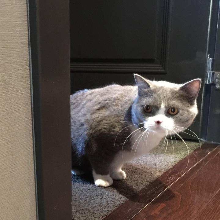 281832c2 bf77 491e b0b7 5b3a0d8a209f