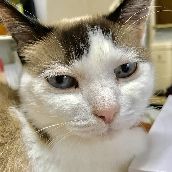 28188621 9029 4fd2 960e 05353738631e