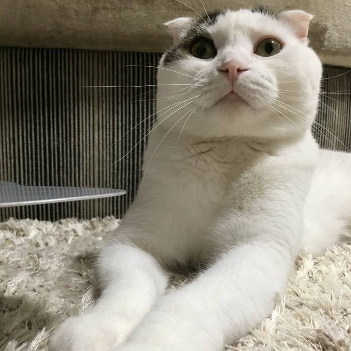 281888ae 654b 4cbc 9835 725b102001e7