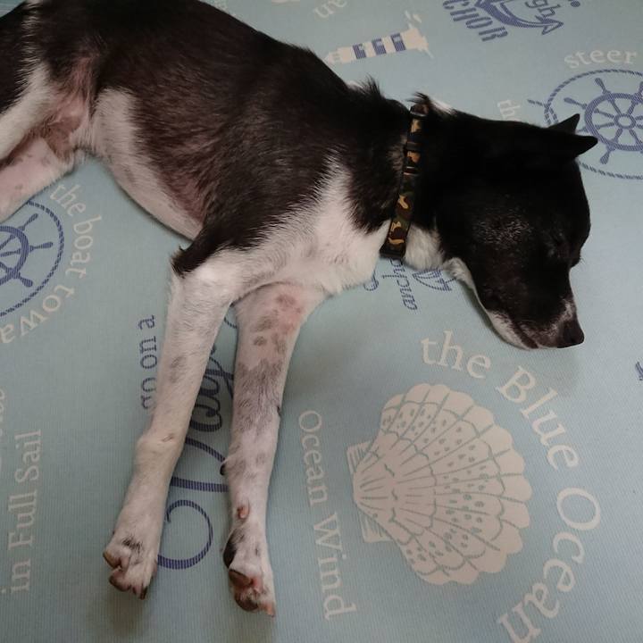 28189675 1753 42b9 bdea 04c1078830c7