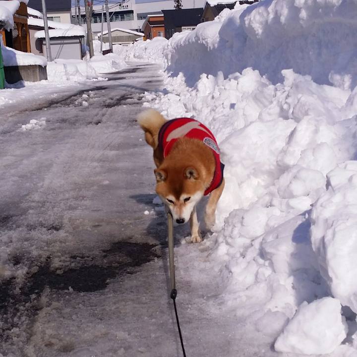 281897dd ac04 4566 9458 d29cb00b19ea