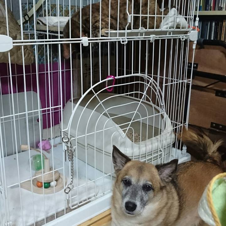 281a05d4 4767 422a b9a1 75e03bc0dcf5