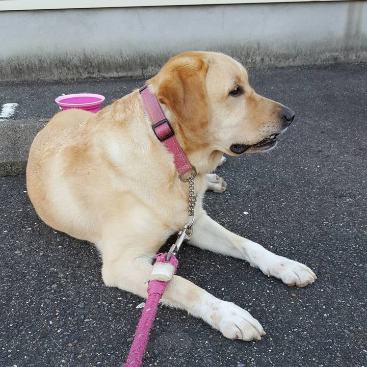 281ae050 47ea 4c37 992c 5644b34efdc9