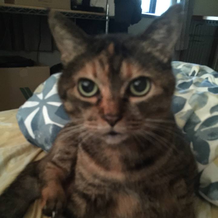 281af74b b752 4541 a2c1 b79d837e487a