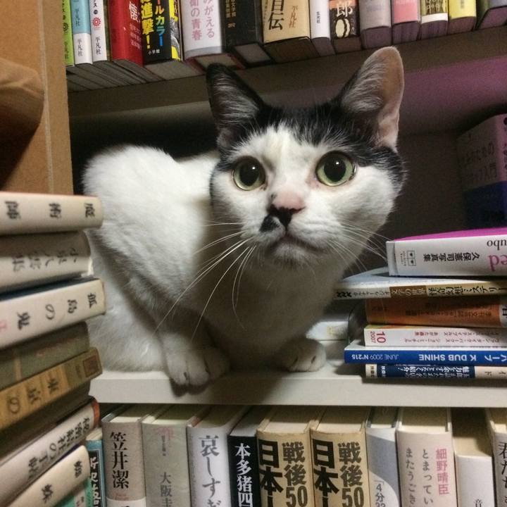 281b0879 7b92 4e1d b5f2 1c2bc976ab43