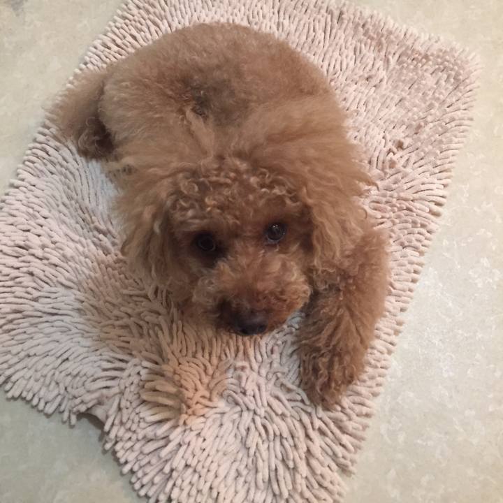 281b19a2 326e 43fd ab15 770adf140b6d