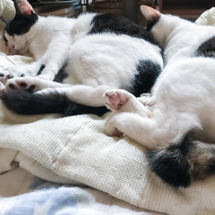 281b8069 0e6b 4318 8e9e e7abb9c32795