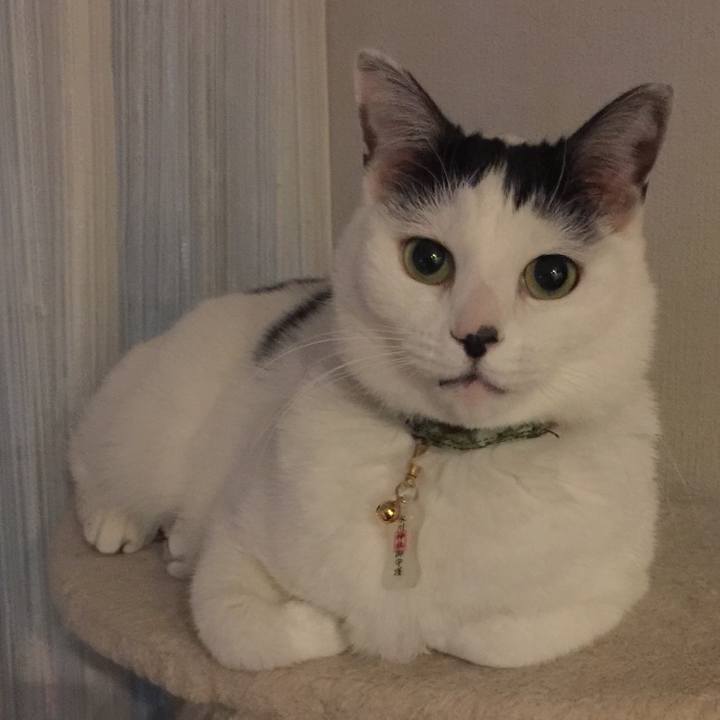 281bc665 b4c5 4e73 afaf b4a7e9730cd9