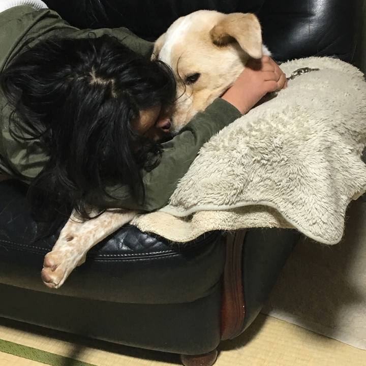 281bf660 a1ce 4abd b4af e633b02033b9