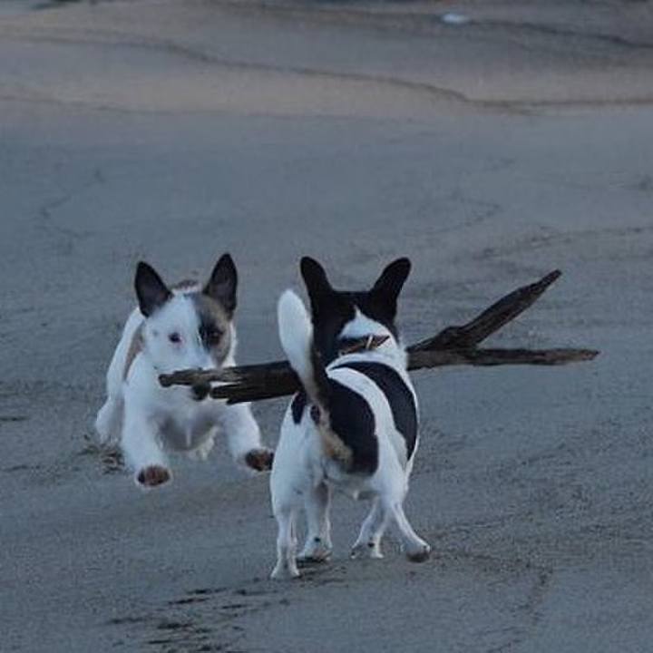 281c03c9 2e7e 41b1 8e81 92b64124e854