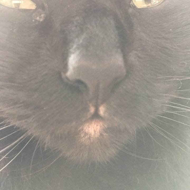 281c07f0 8188 41c9 83f3 20cb172f88c0