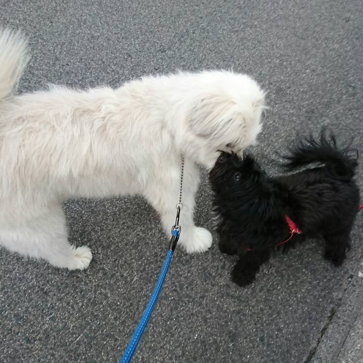 281c406b 0a33 4c06 8e28 a6f00ef05df3