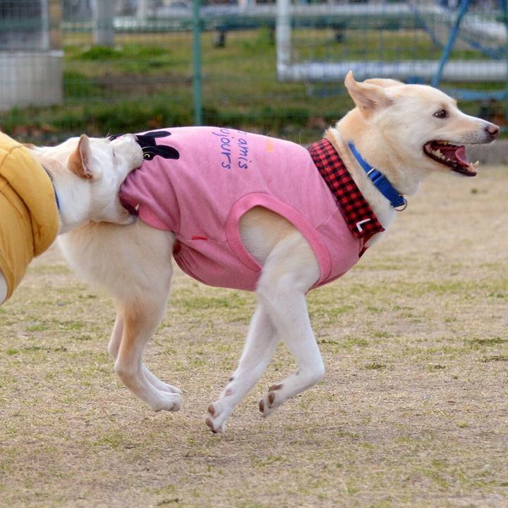 281c8704 83e3 4cb1 b1c2 28d63fe49a19