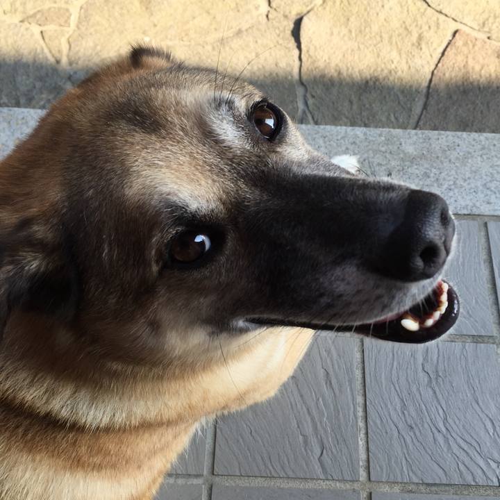 281cc043 3d22 4fc3 80a2 85d08c5a04af