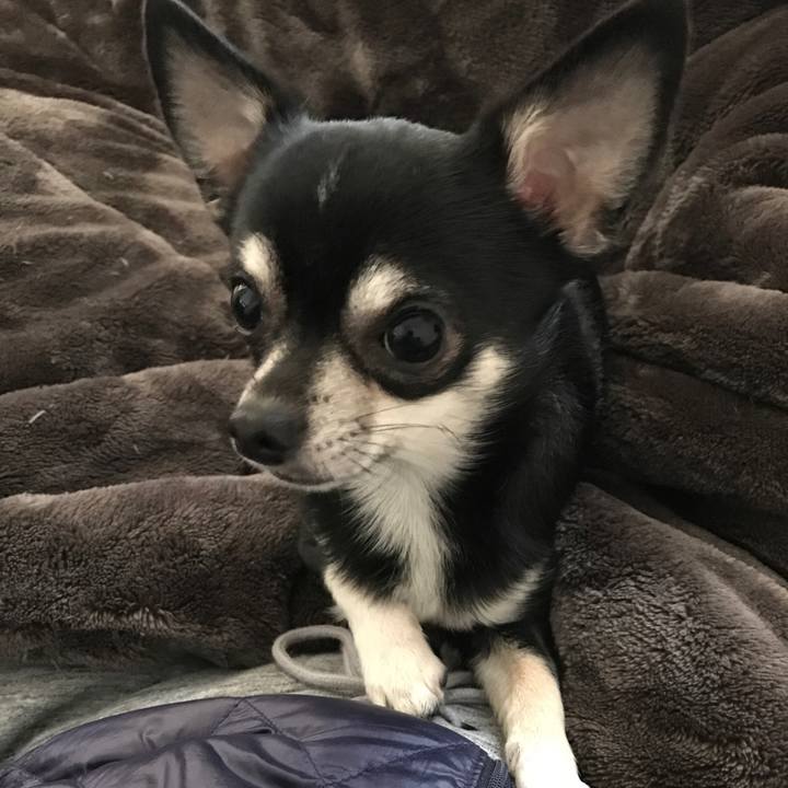 281d03e4 eeed 4602 90ca ee62b845c023