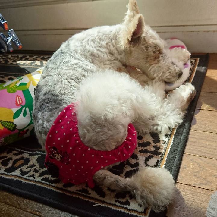 281db776 61b9 4350 900e 016eef2bd25d