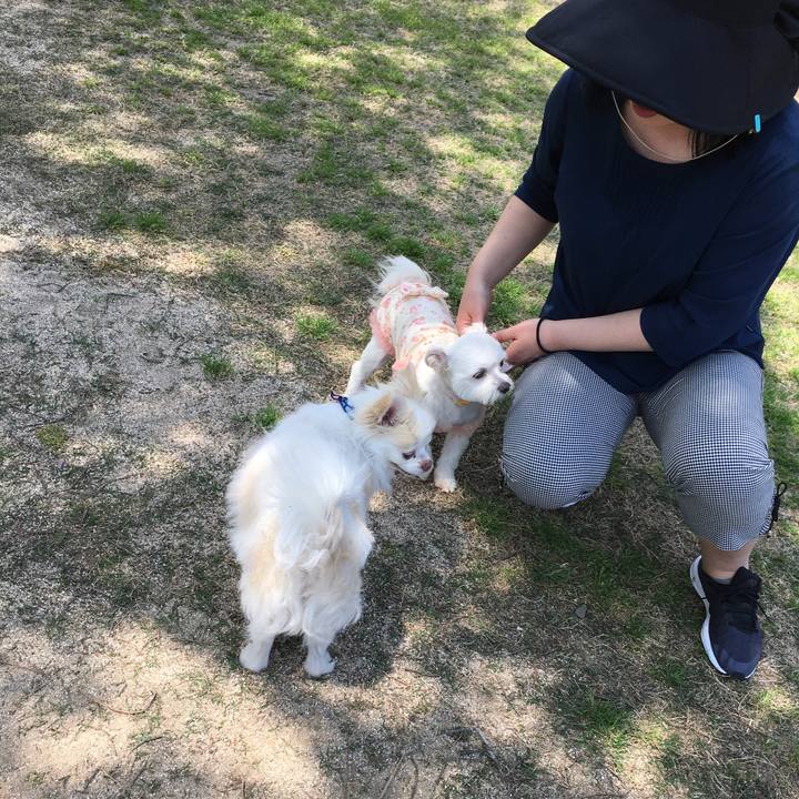 281e1836 0254 4515 b9f1 ecd08432edb0