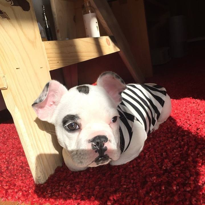 281ef01a 1dfe 41e3 9bf5 01af390e1bee