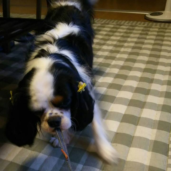 281f627c 066b 41fc 923b ba734c70ffcb