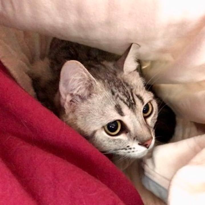 282022f2 5956 4ee2 82c3 6b46c23807f5