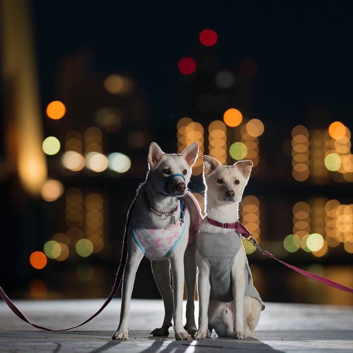 2820698e 3a9f 41a0 8f65 54398648c73d