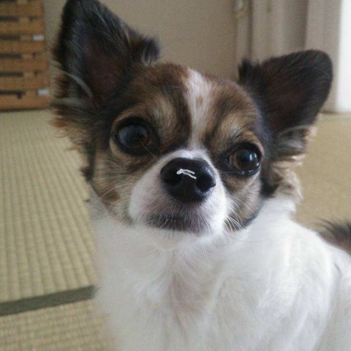 28213ad0 2139 4e46 a53d 65f6dc4f8a08