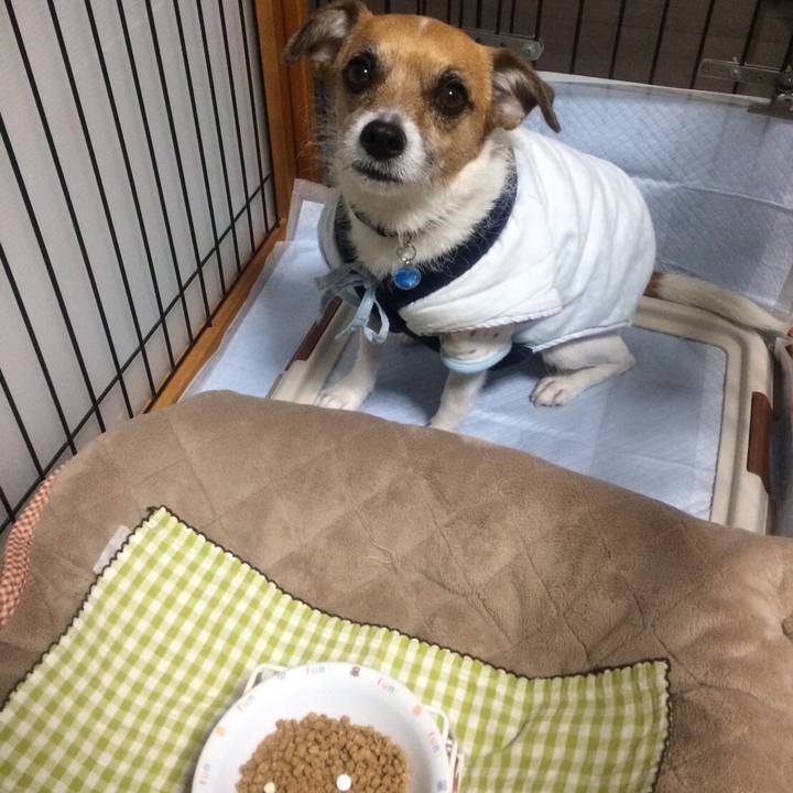 2821c39d 6da8 43bb 80fe 70617c2cfdc7