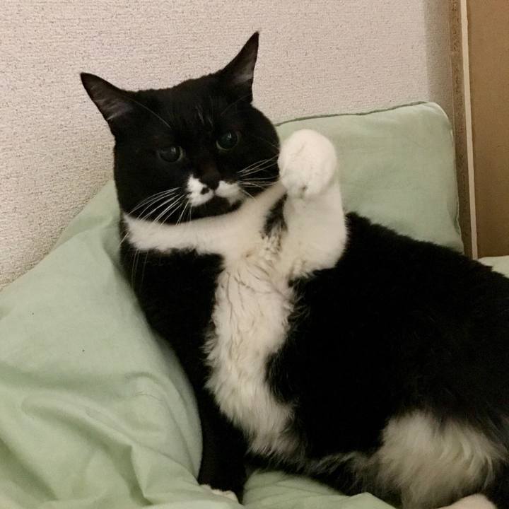 28222772 12e4 4230 b965 db32ca3ba493