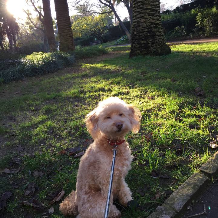 2822370f c976 4a0a 89d5 940b6e2716d2