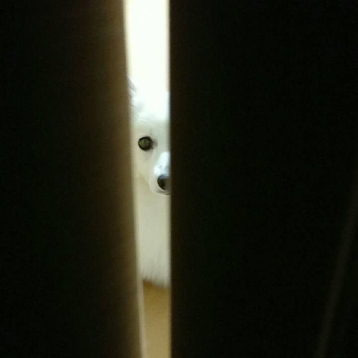 2822603b 5db0 43e7 a6e0 6b6aedee1067