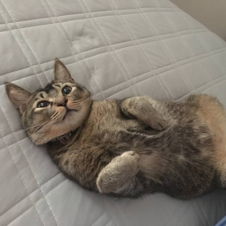 2822d04d 6126 467e 902e bb4ac81658b3