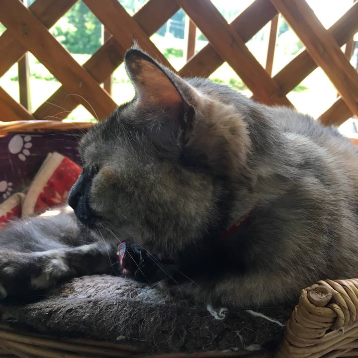 28233b25 a83f 4a6e 9241 3368dd8d06bf