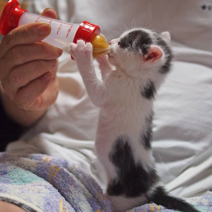 2823755d 8bd5 4d59 a89f a6bc827e2a8c