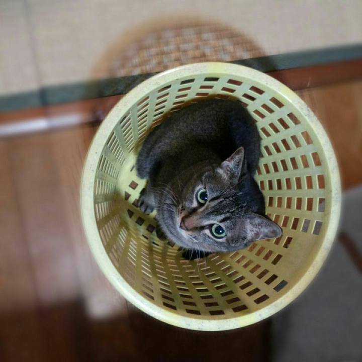 28238bf3 afcd 43e2 aaec 30e09364a0b9