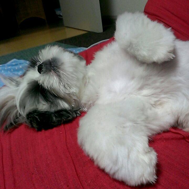 28254f87 8de5 4051 a08a 91272f3ef1fb