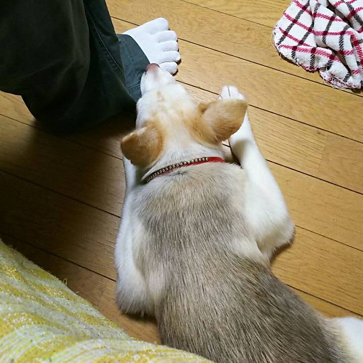 2825762d bdf6 43f6 87ee ffd2cd38f8c2