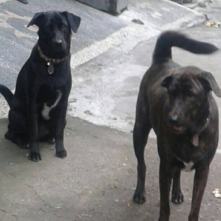 2825e22d 165c 43ba 8bf6 c5b9594db6de