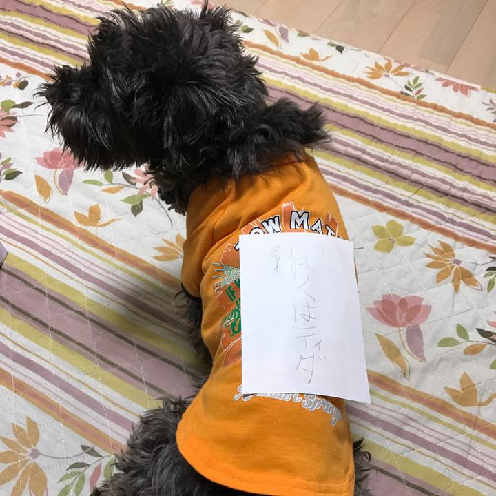 28262e35 cedc 4869 923b 4ea820df6716