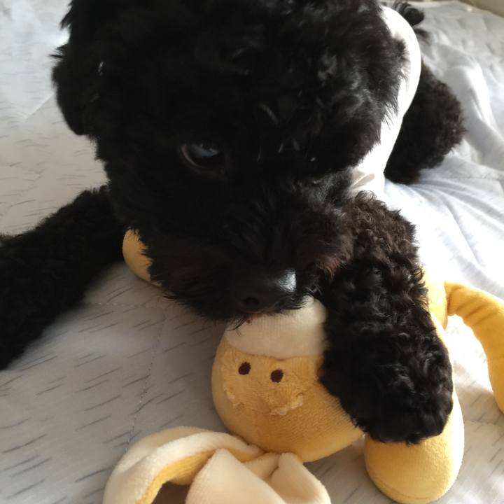 28267245 1f4b 4997 98f3 53956d3e250d