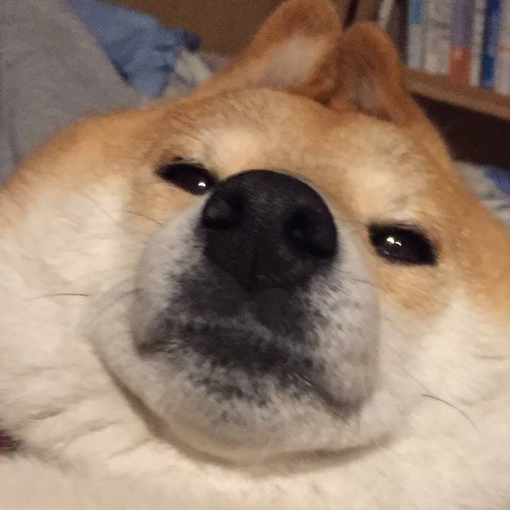 28270f24 535f 4c85 be0e 5d70bf82d775