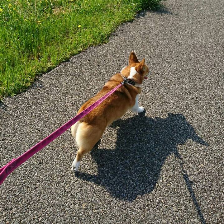 28276deb 5e04 45bb b70a f09ff0b9907f