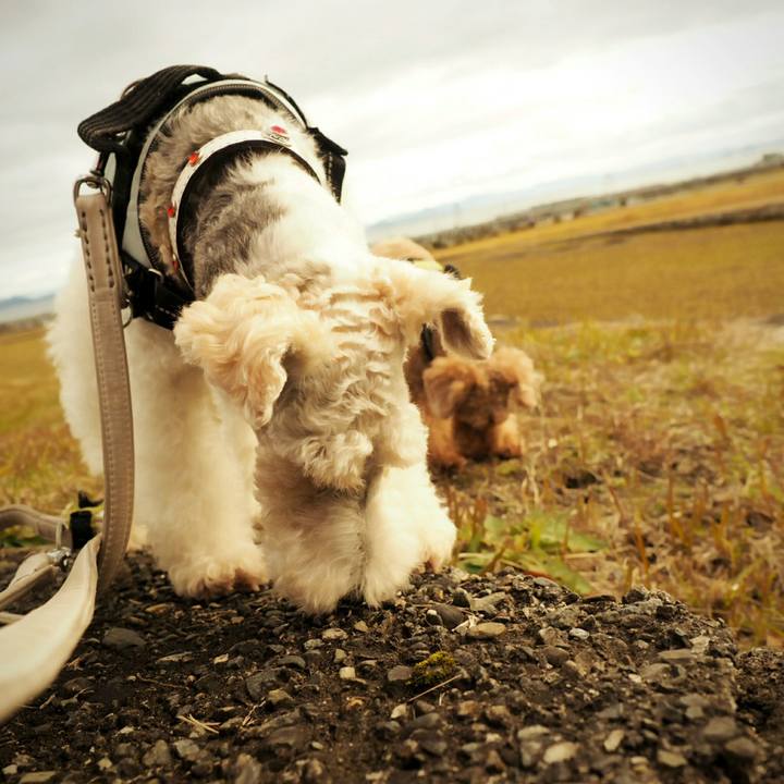 28281de9 4d11 49d6 945d 3da5a85fbbe7