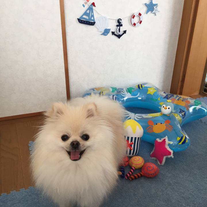 28287ec4 0c6b 4bc1 9a19 17d0ae09a105