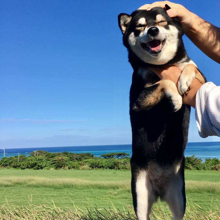 2828dd5f 9440 416d aac9 6d831720ca6e