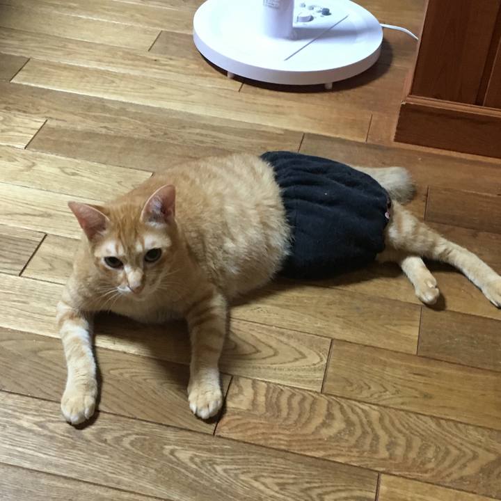 2828e319 044c 4570 81b1 8d6d9597cb93