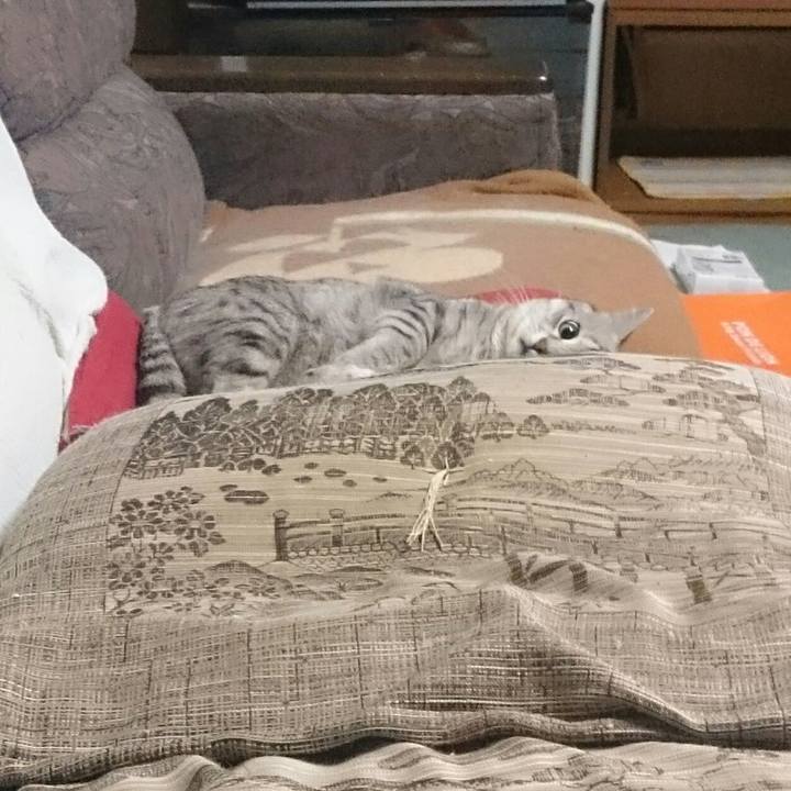 2829eab2 6745 4dee b9d9 8082ed30630a