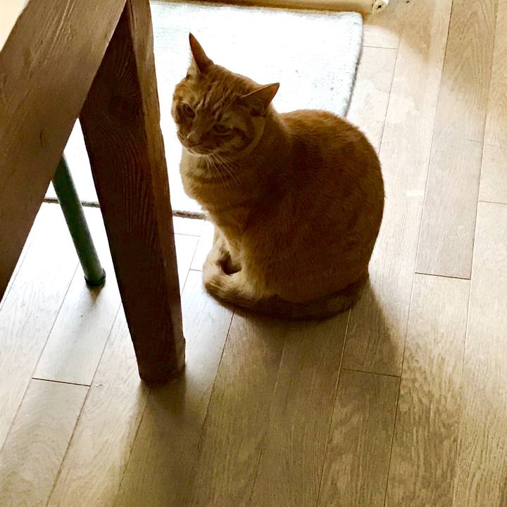 2829fabb 7313 44a0 b90a 505f66de6e22